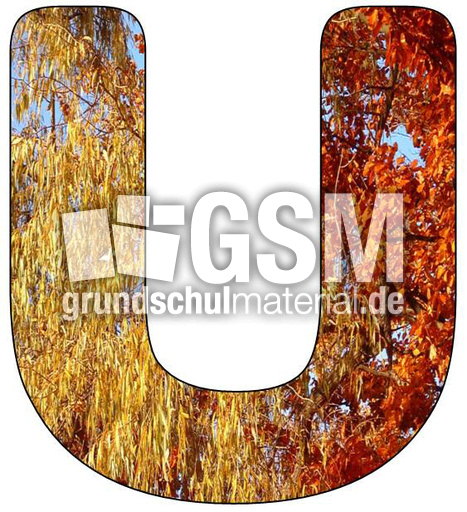 Herbstbuchstabe-U.jpg